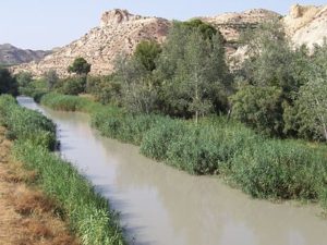 Rio Segura a su paso por Archena